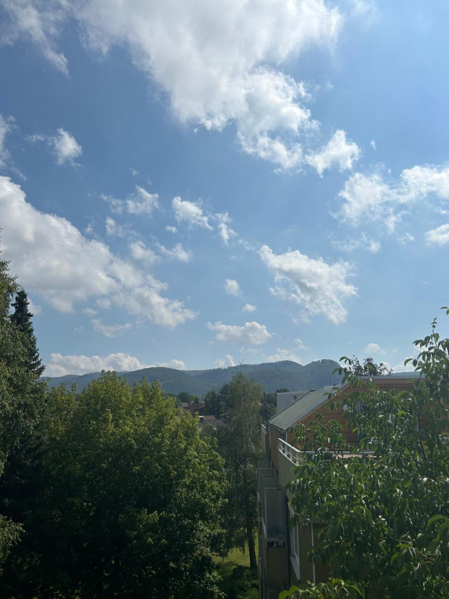 Ferienwohnung Sonnenterrasse am Wildgehege Bad Harzburg Exterior foto