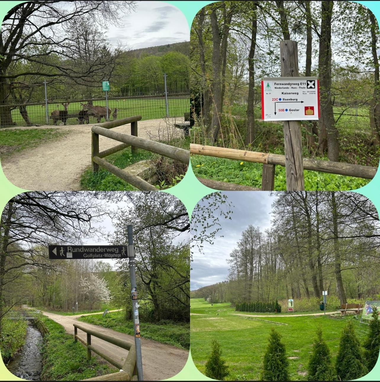 Ferienwohnung Sonnenterrasse am Wildgehege Bad Harzburg Exterior foto